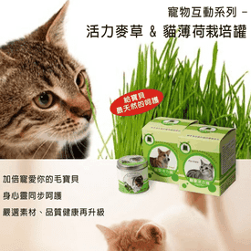 活力麥草+貓薄荷栽培罐