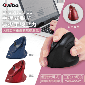 人體工學無線垂直式滑鼠
