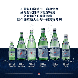 聖沛黎洛天然氣泡礦泉水