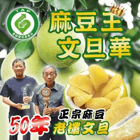 麻豆文旦華50年老欉文旦