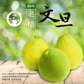 葫蘆墩50年老欉文旦禮盒