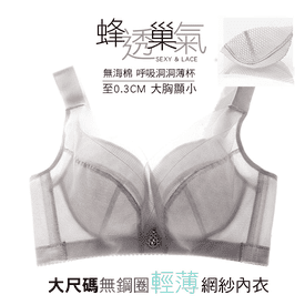 大尺碼無鋼圈輕薄紗內衣
