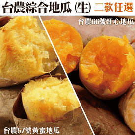 台農57號黃金地瓜紅地瓜