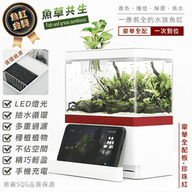 循環過濾可充電水族魚缸