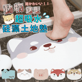 動物超吸水硅藻土地墊