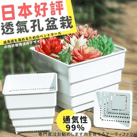 熱銷好評創新設計花盆