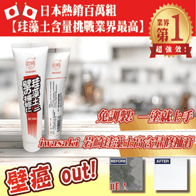 岩崎珪藻土補牆膏