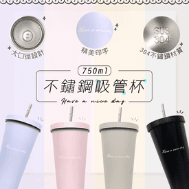 莫蘭迪系列不鏽鋼吸管杯