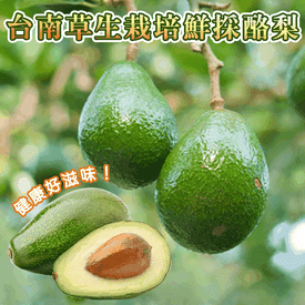 台南草生栽培酪梨6斤